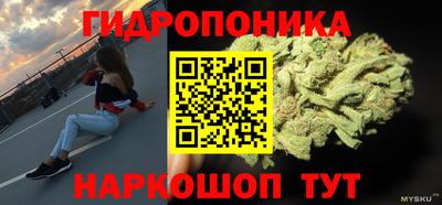 хмурый Шелехов