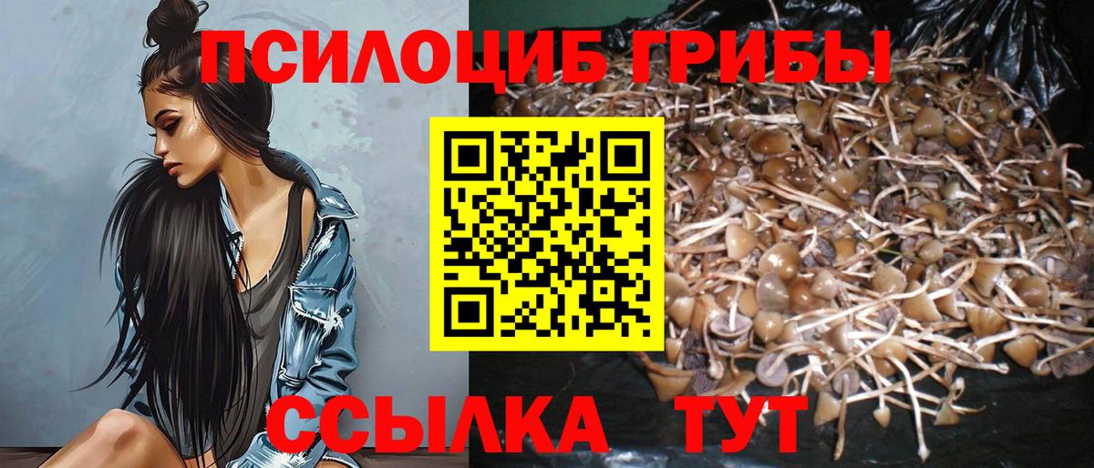 Анапа  что такое наркотик  Вход с VPN  Галлюциногенные грибы ЛСД 